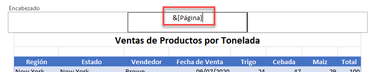 Número de Página Agregado al Encabezado