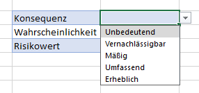 Risikomatrix Konsequenz Dropdown Liste