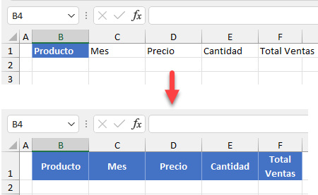 Usar Copiar Formato para Múltiples Celdas en Excel