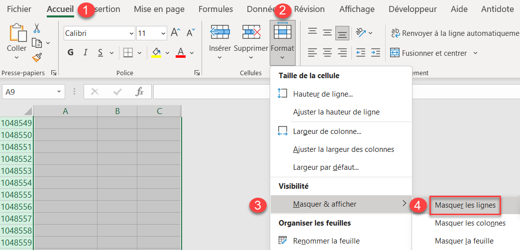 excel masuer cellules masquer lignes