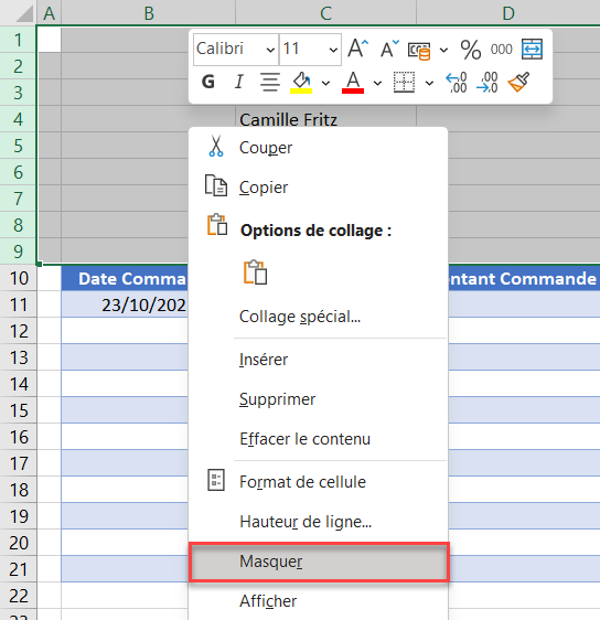 excel saisie validation masquer