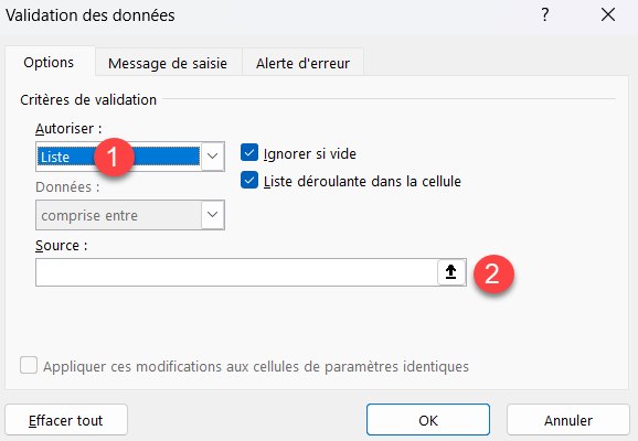 excel saisie validation options