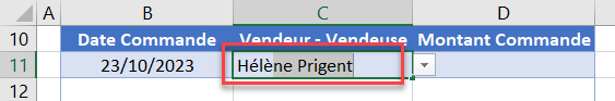 excel saisie validation presentation