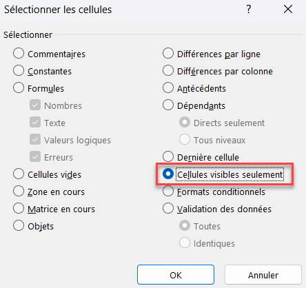 coller cellules visibles uniquement options