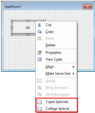 copy paste userform control